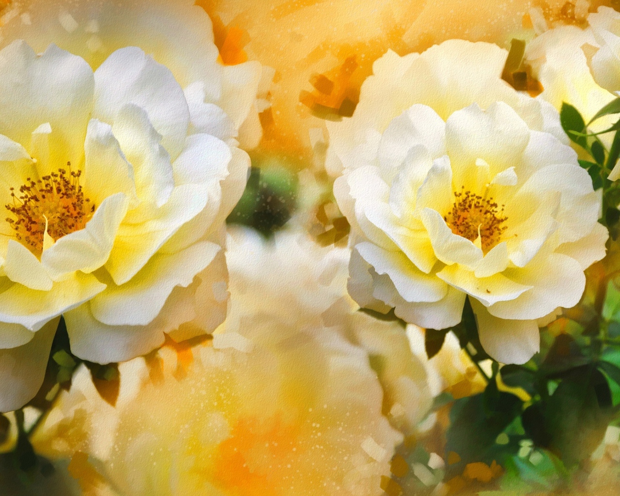Красивые нарисованные распустившиеся белые розы