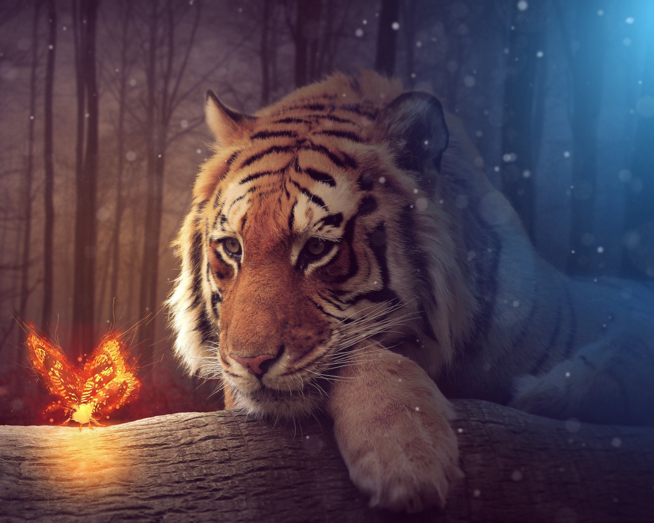 Большой тирг с волшебной огненной бабочкой, фэнтези