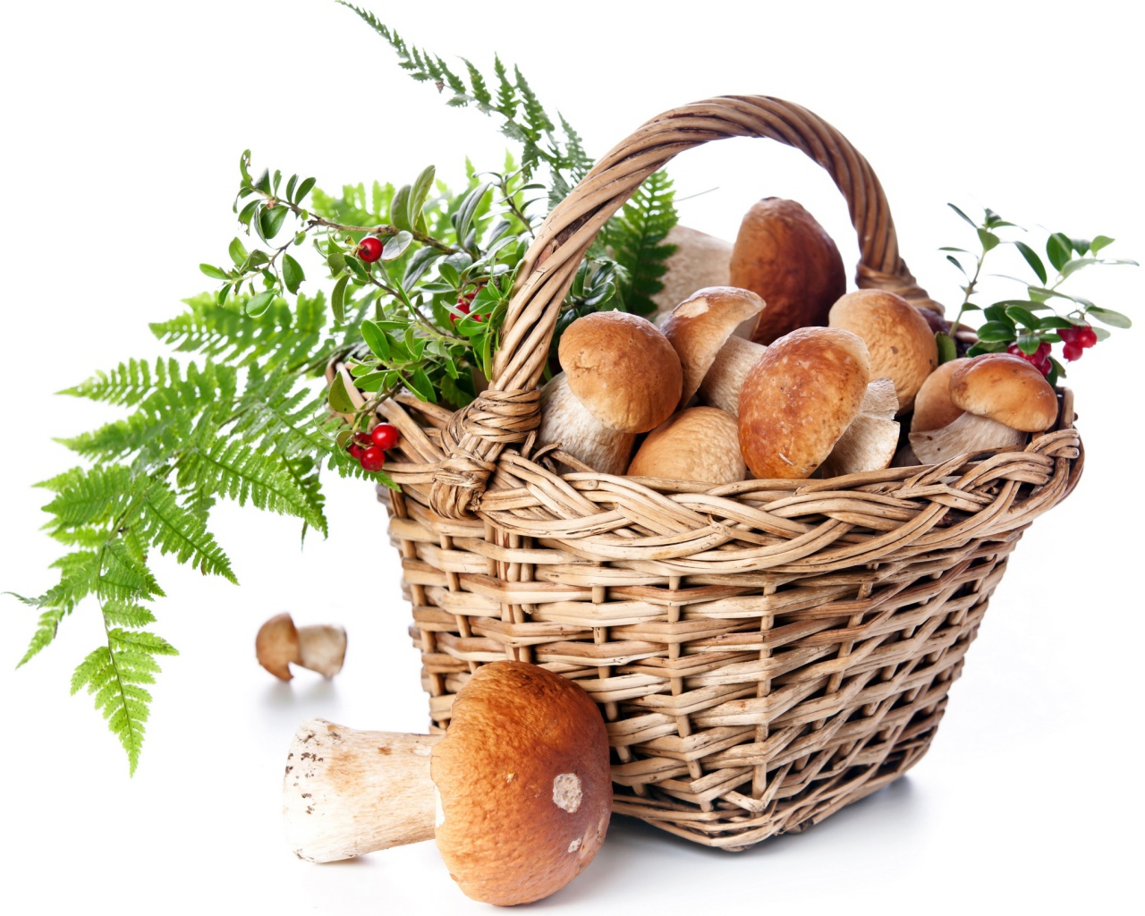 Большая корзина грибов с ягодами на белом фоне