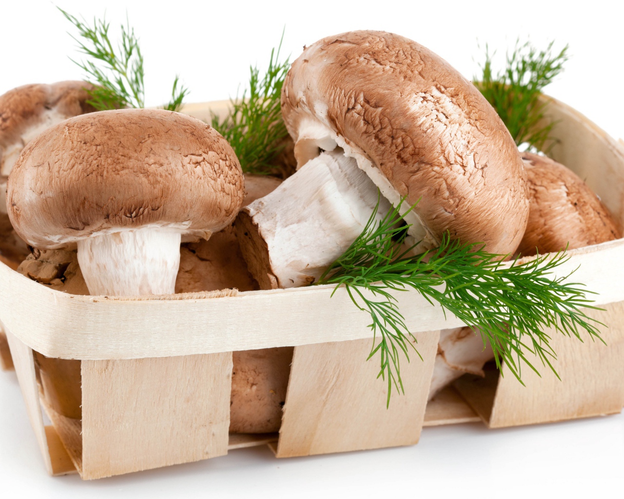 Грибы шампиньоны в деревянной корзине с укропом на белом фоне