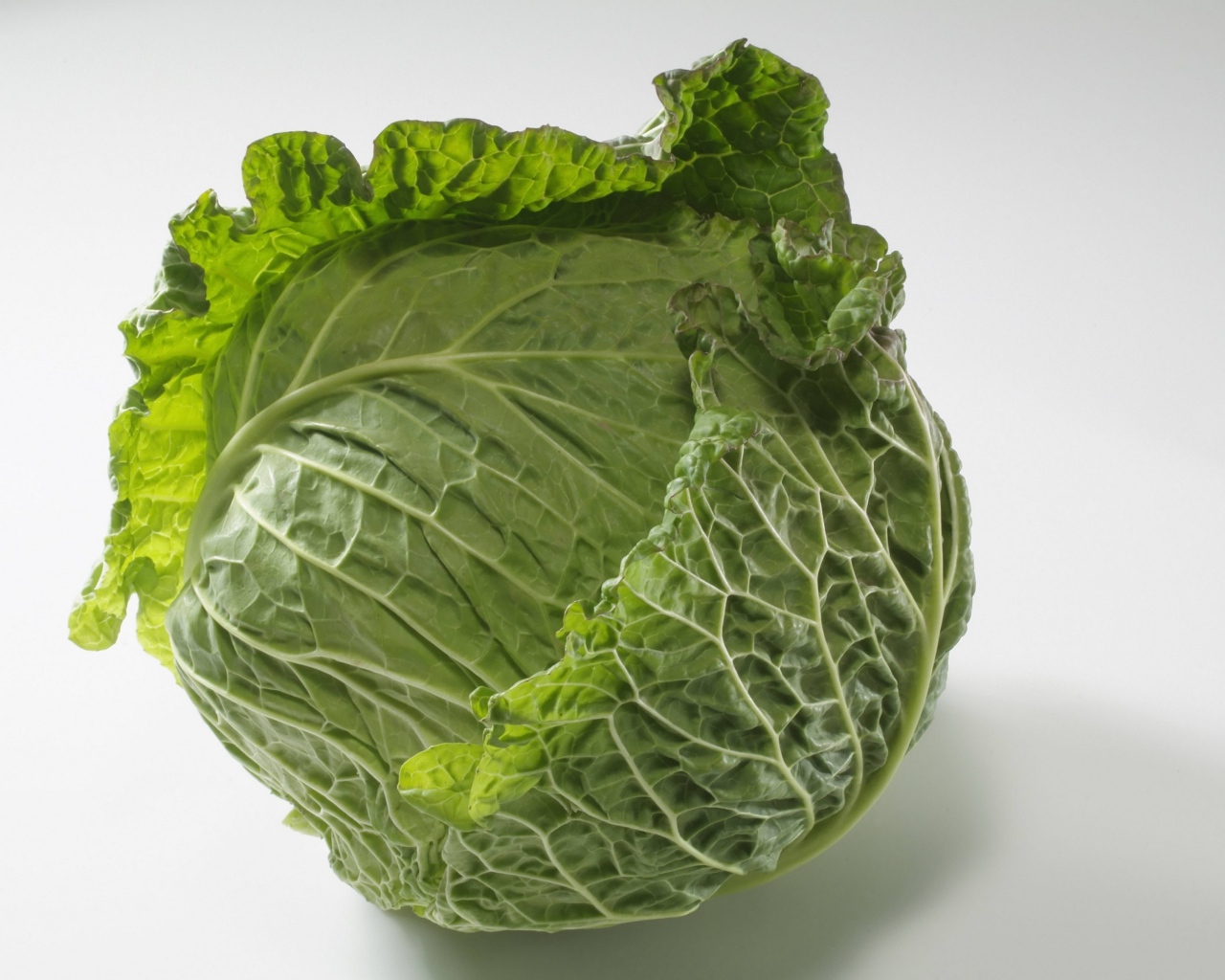 Зеленый кочан капусты на сером фоне 