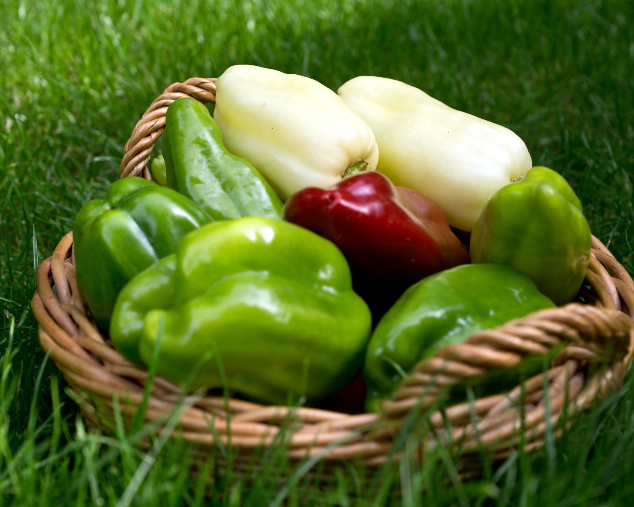 Разноцветный сладкий перец в корзинке стоит на зеленой траве