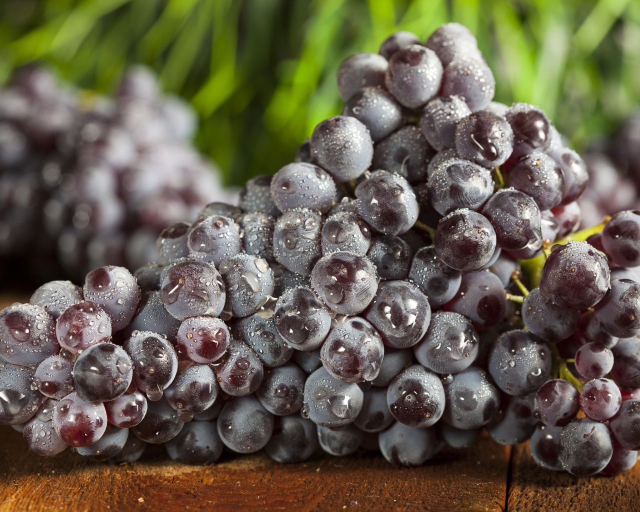 Большая гроздь синего винограда в каплях воды
