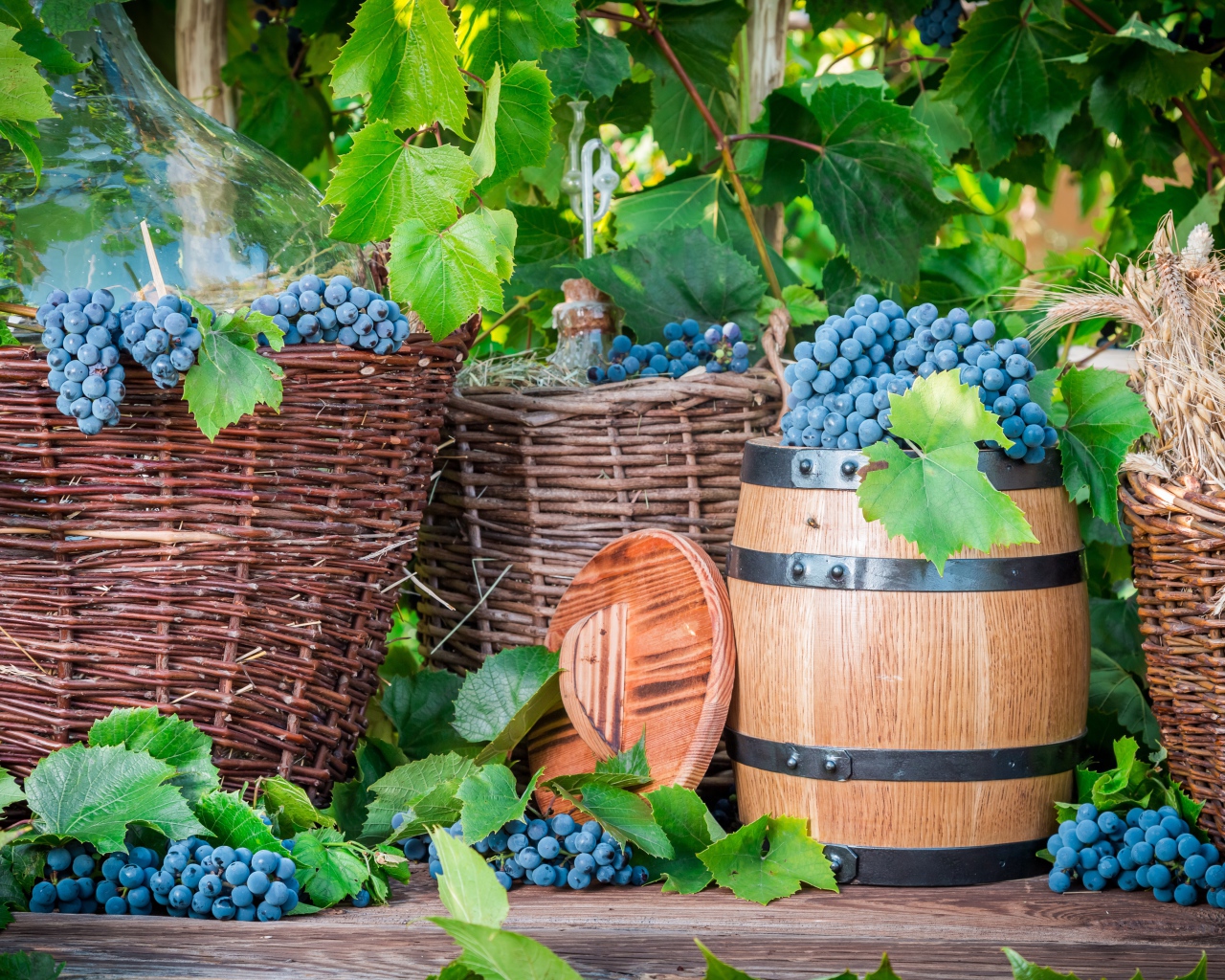 Корзины с синим виноградом и бочкой для вина