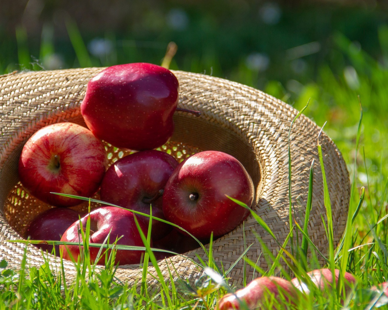 Красивые красные яблоки в соломенной шляпе на зеленой траве