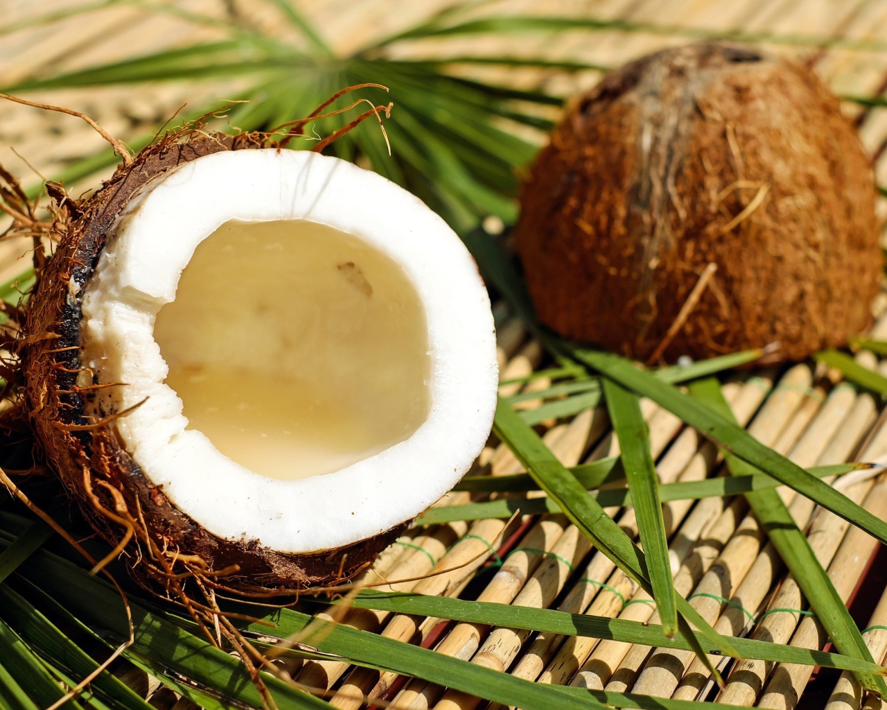 Разбитый кокос лежит на зеленых пальмовых листьях