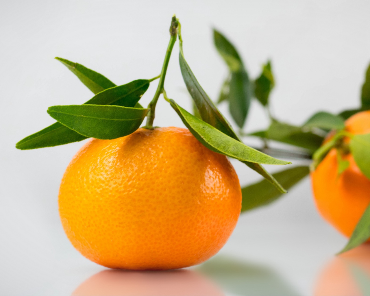 Оранжевый мандарин с зелеными листьями на сером фоне 