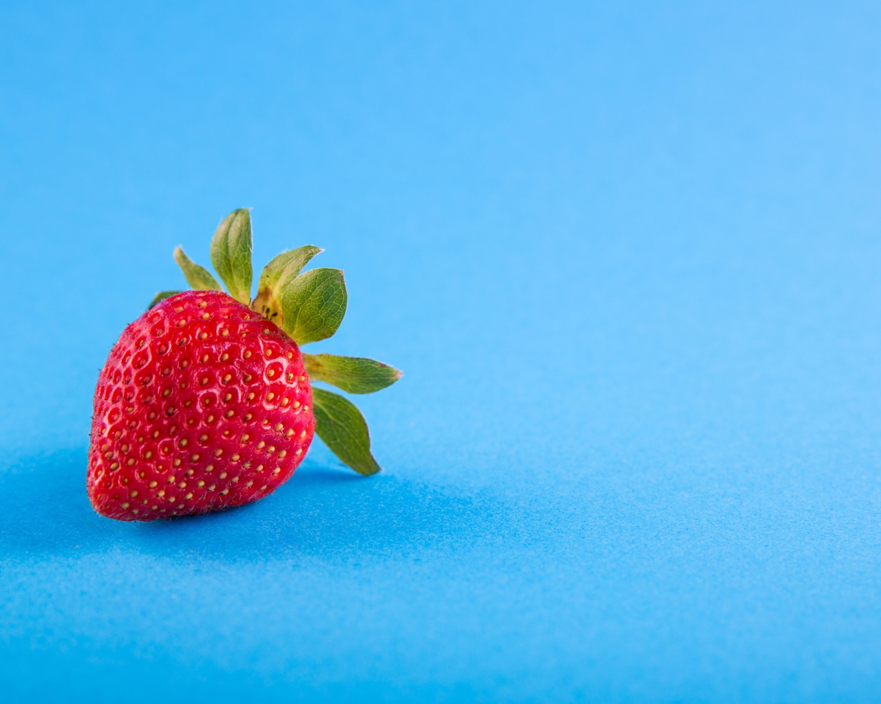 Красная спелая клубника на голубом фоне