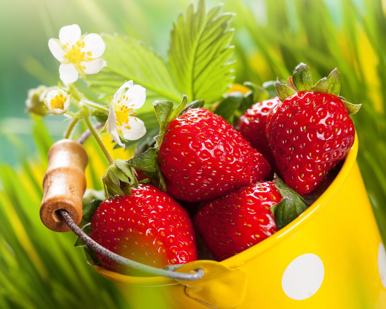 Красная клубника с белыми цветами 