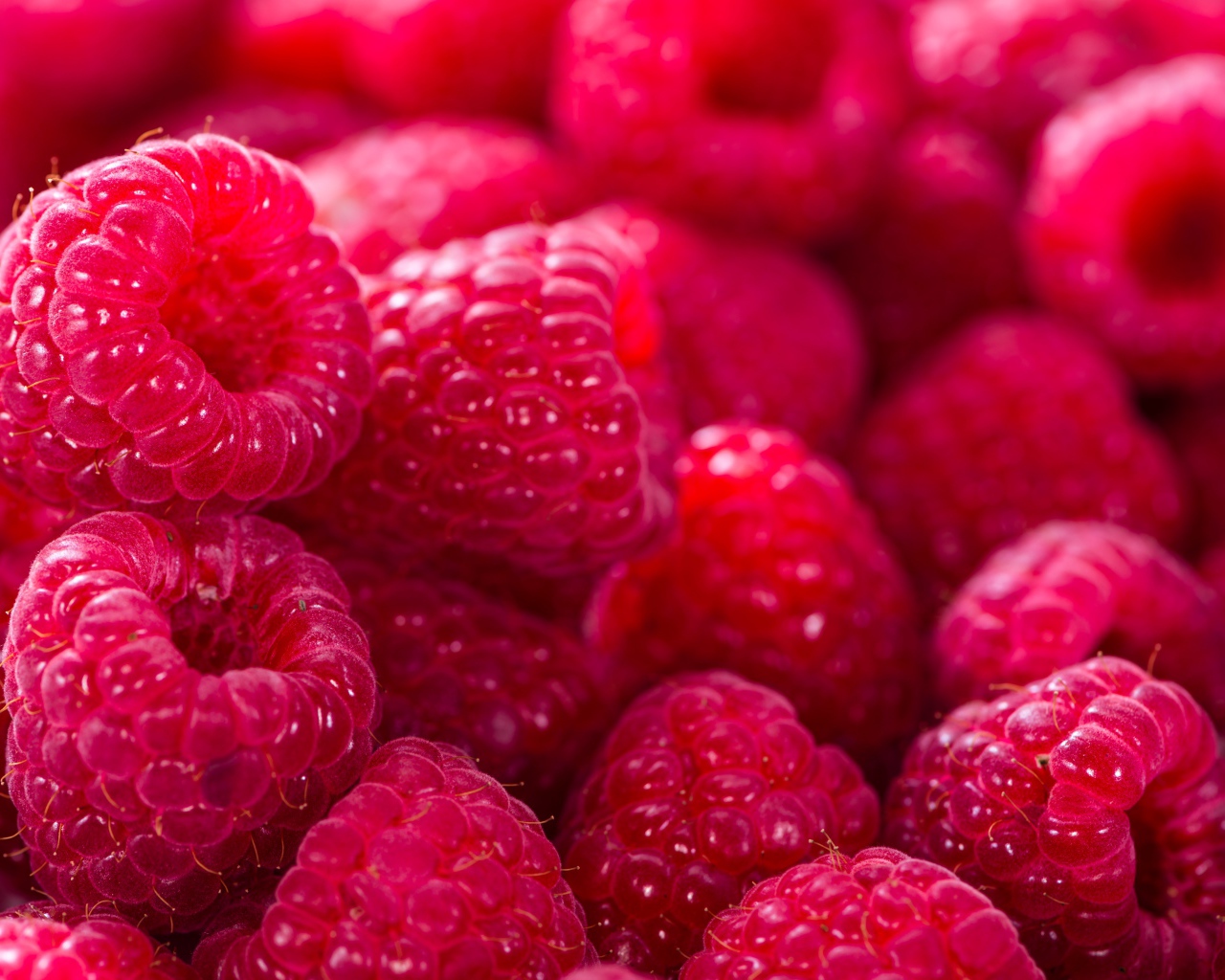 Спелая сочная малина крупным планом