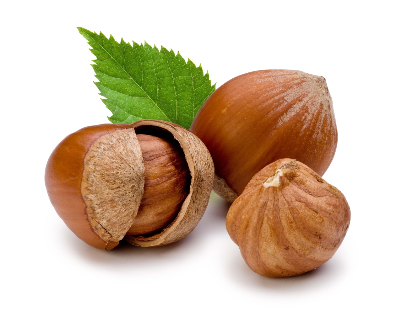 Три лесных ореха на белым фоне крупным планом