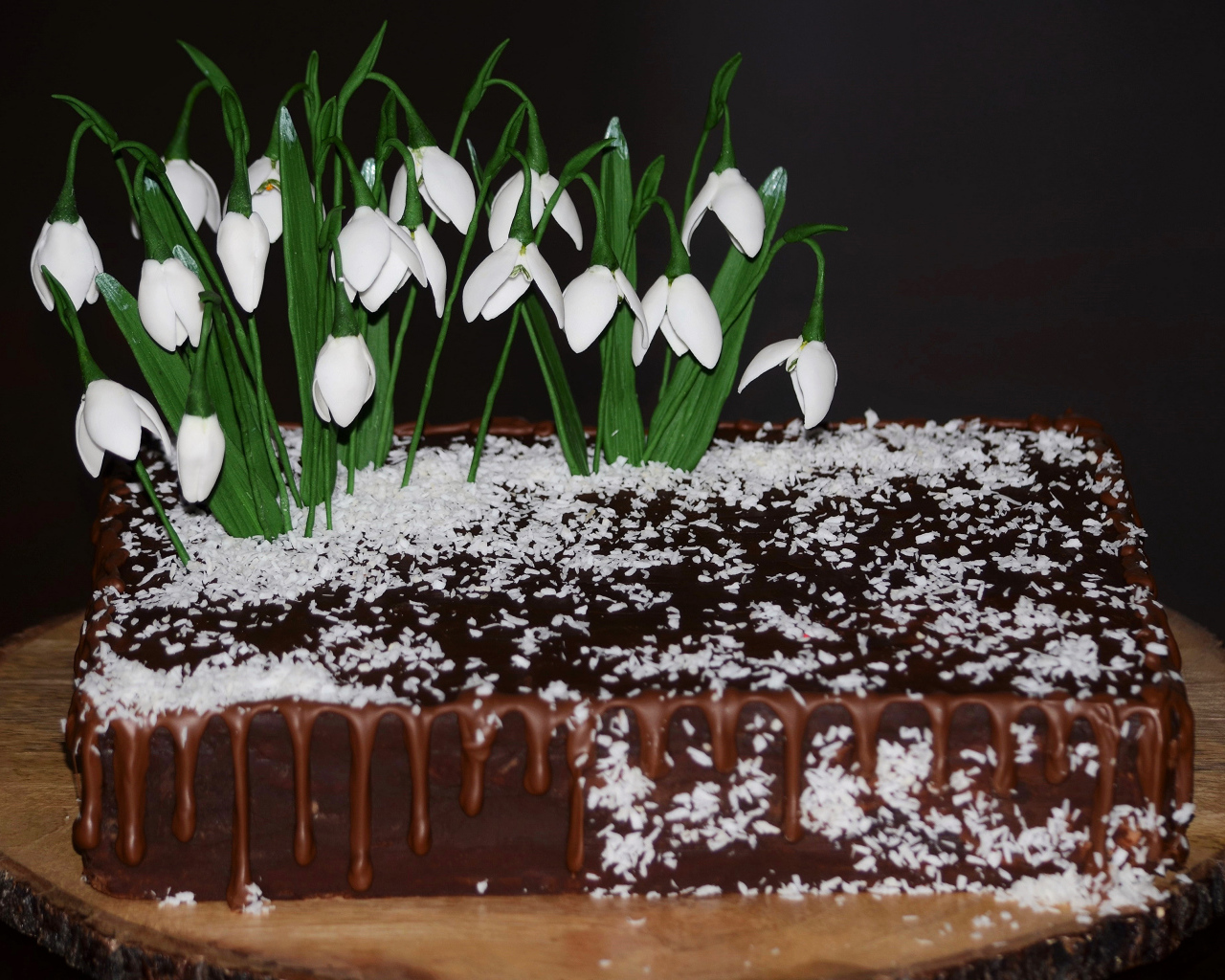 Шоколадный торт с кокосовой стружкой и цветами подснежника