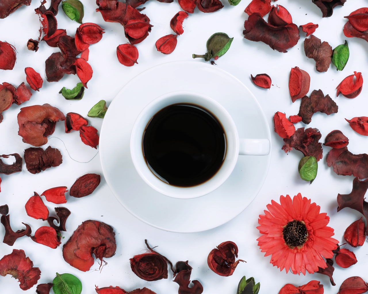 Чашка кофе на белой поверхности с сухими лепестками 