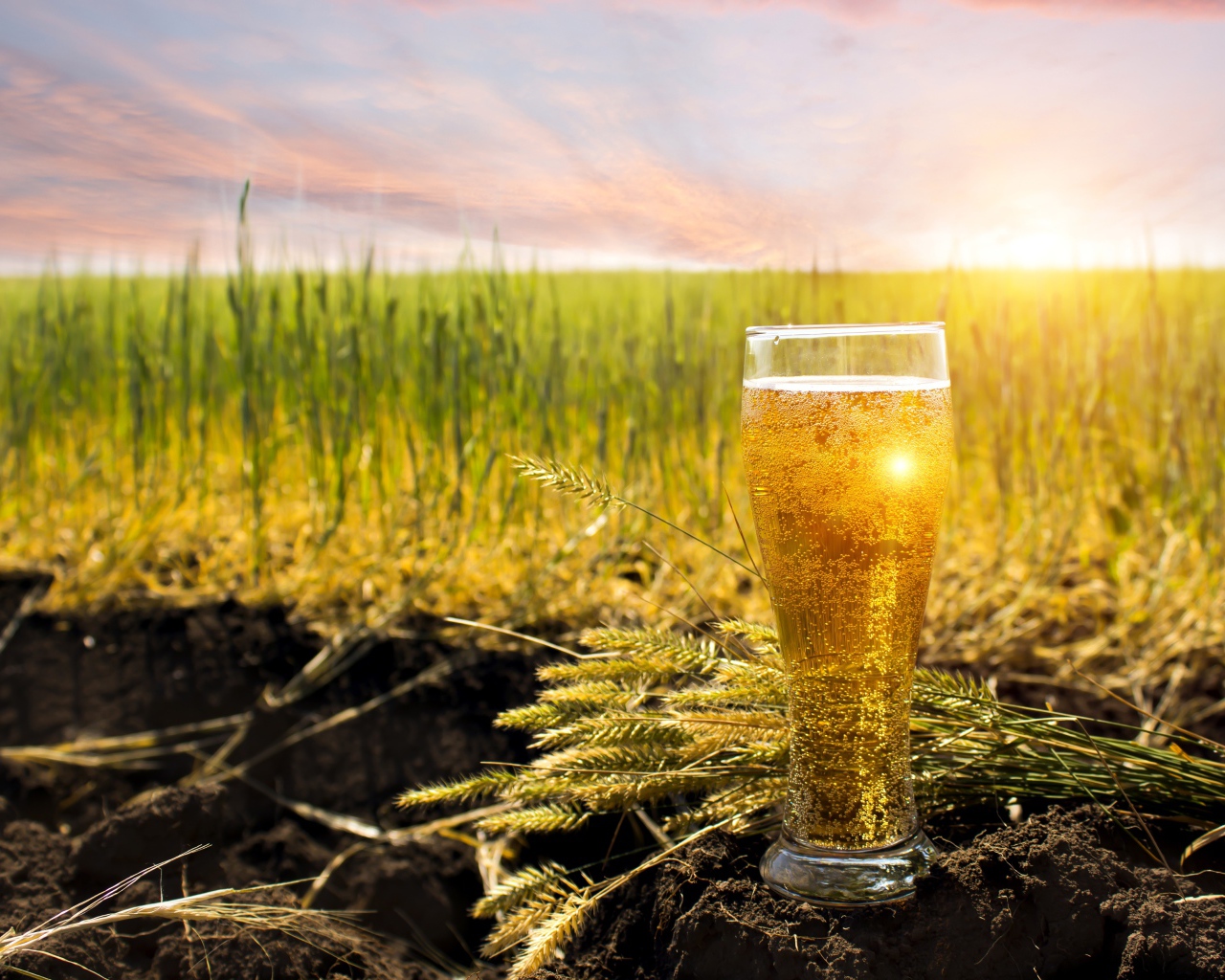 Стакан пива стоит на земле в лучах солнца с зелеными колосками