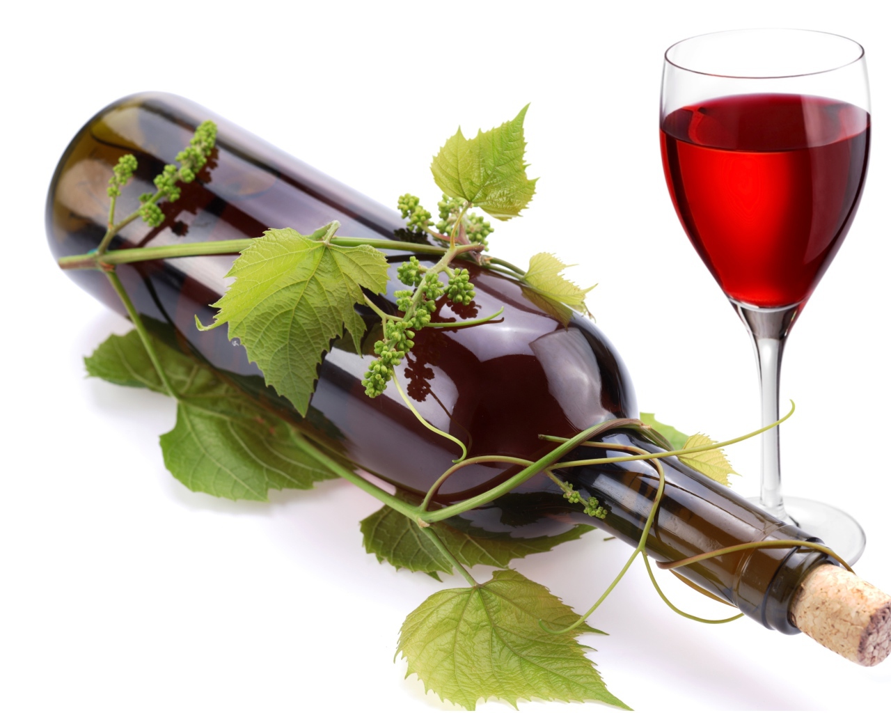 Бутылка вина в виноградной лозе с бокалом на белом фоне