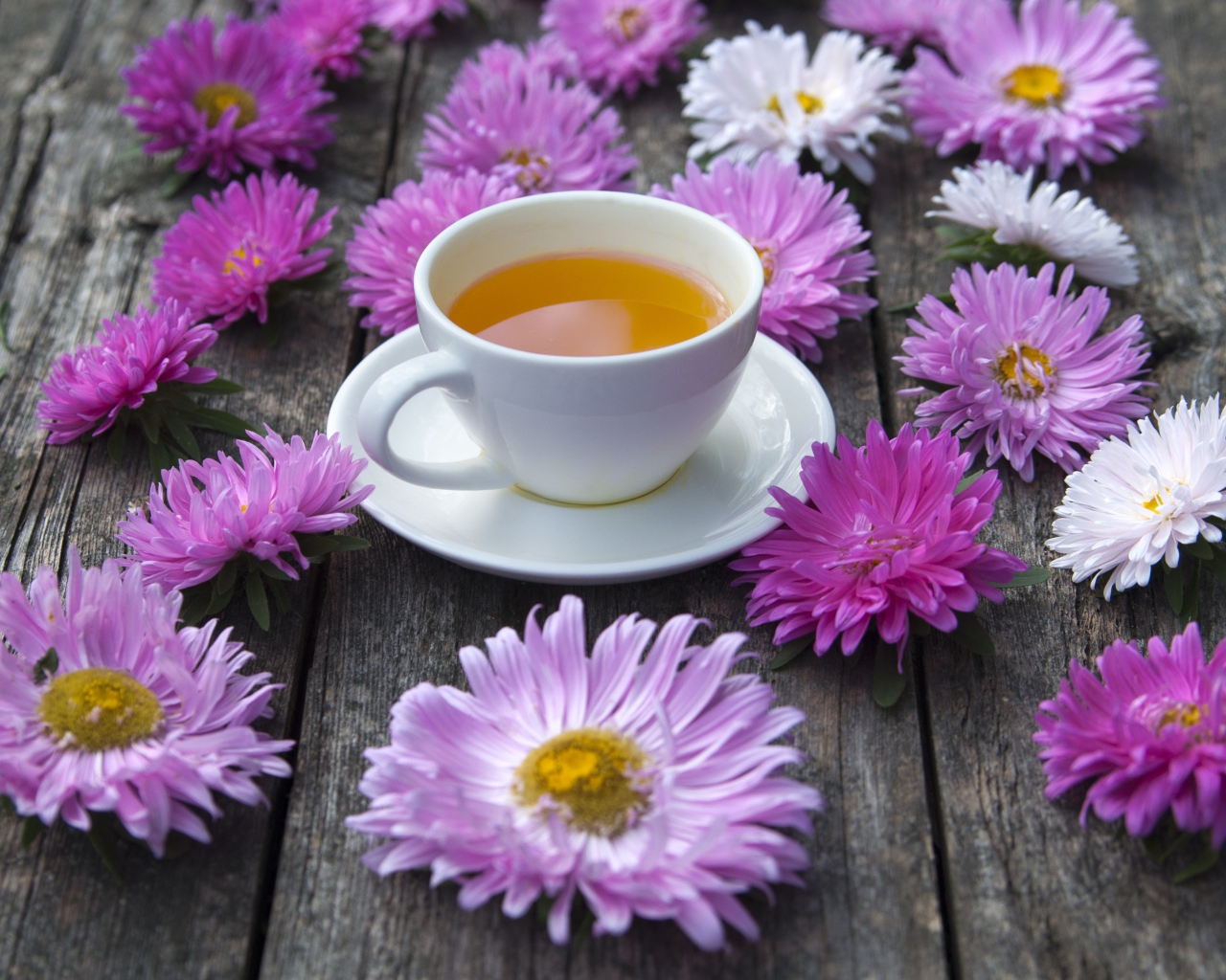 Белая чашка чая на столе с астрами