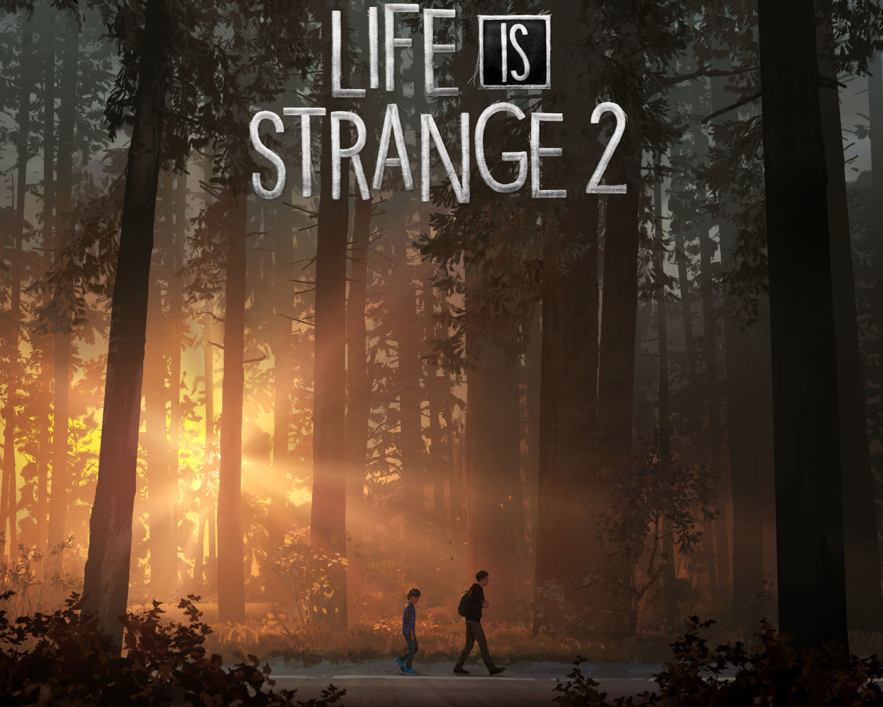 Постер компьютерной игры Life Is Strange 2, 2018