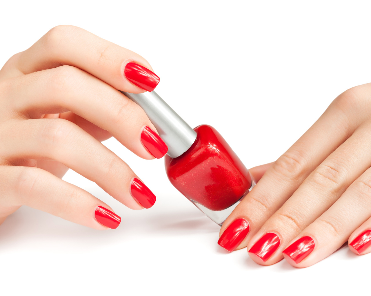 Female hands with a red manicure and varnish on a white background
