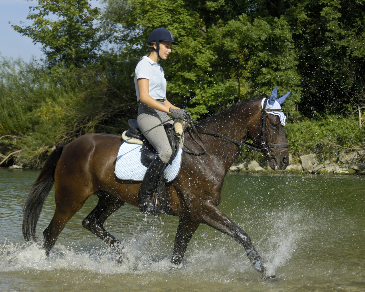 Молодая девушка на лошади скачет по воде