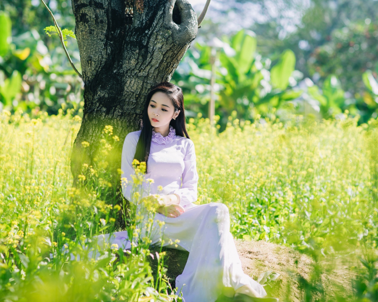 Красивая девушка азиатка сидит в белом платье под деревом