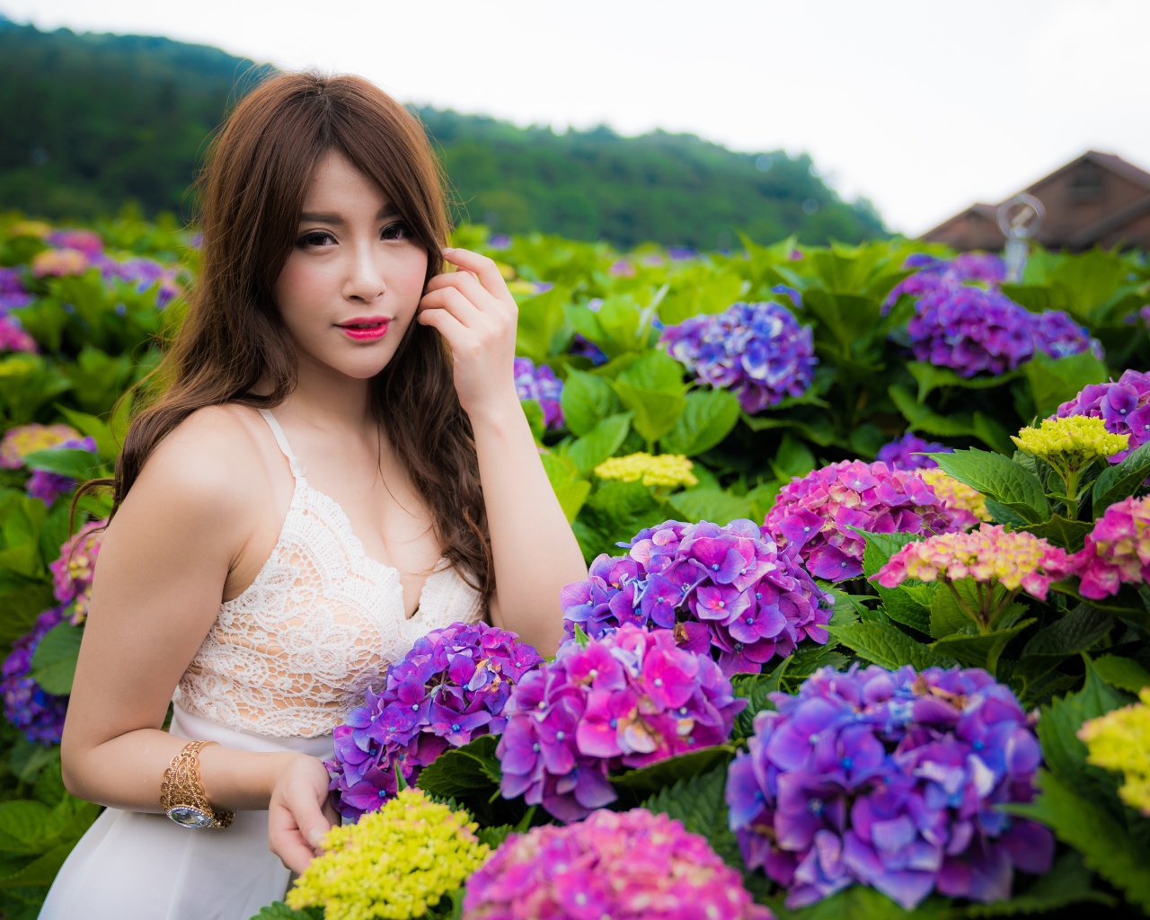 Красивая девушка азиатка с цветами гортензии  