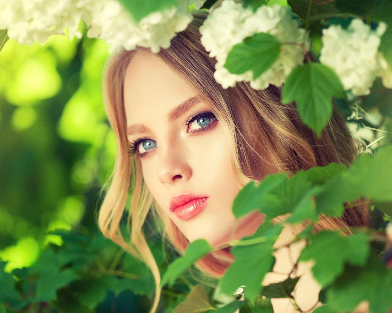 Красивая голубоглазая девушка в белых цветах 