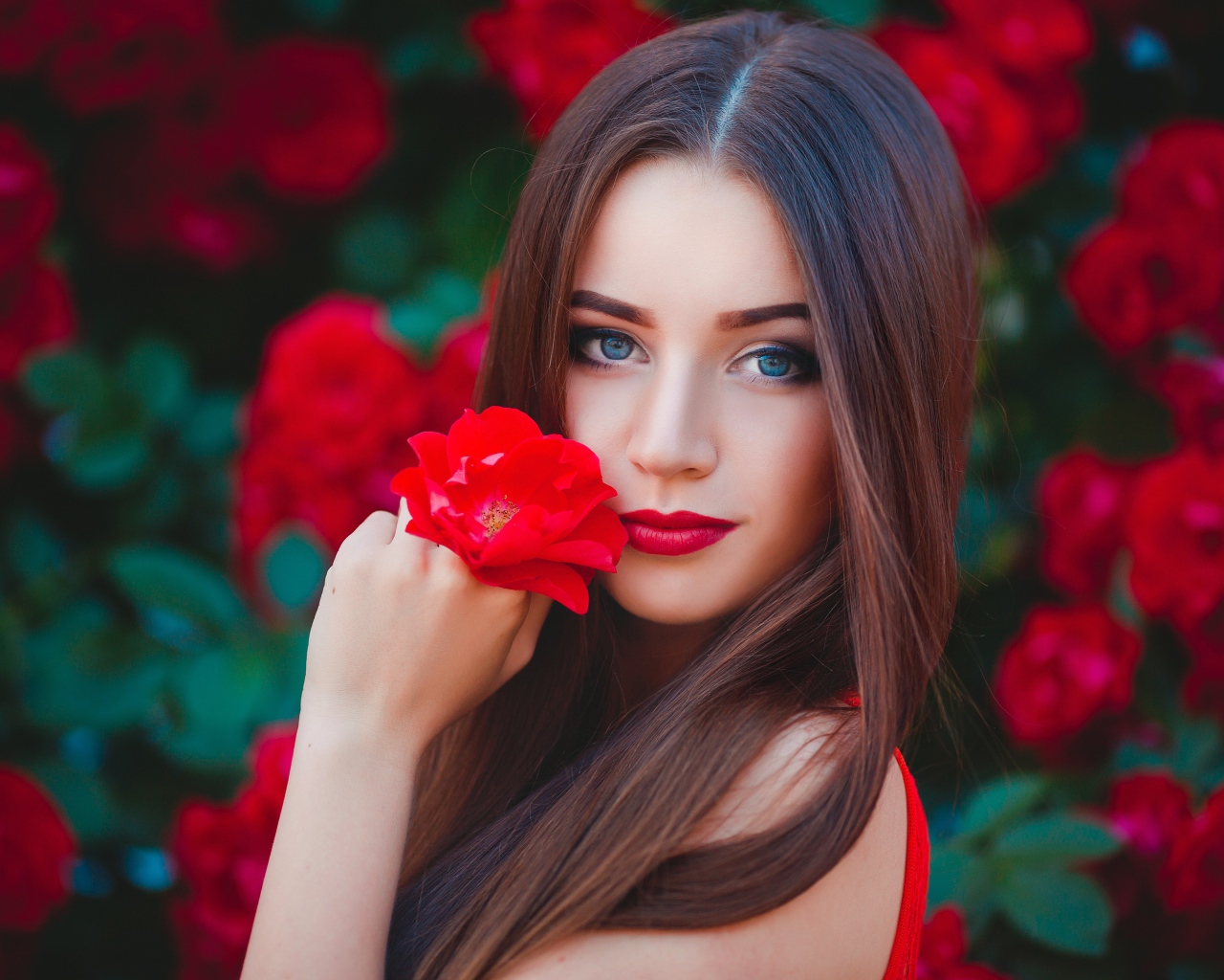 Красивая голубоглазая девушка с красной розой в руке