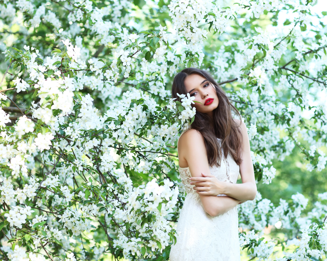Красивая шатенка в цветущих ветках яблони