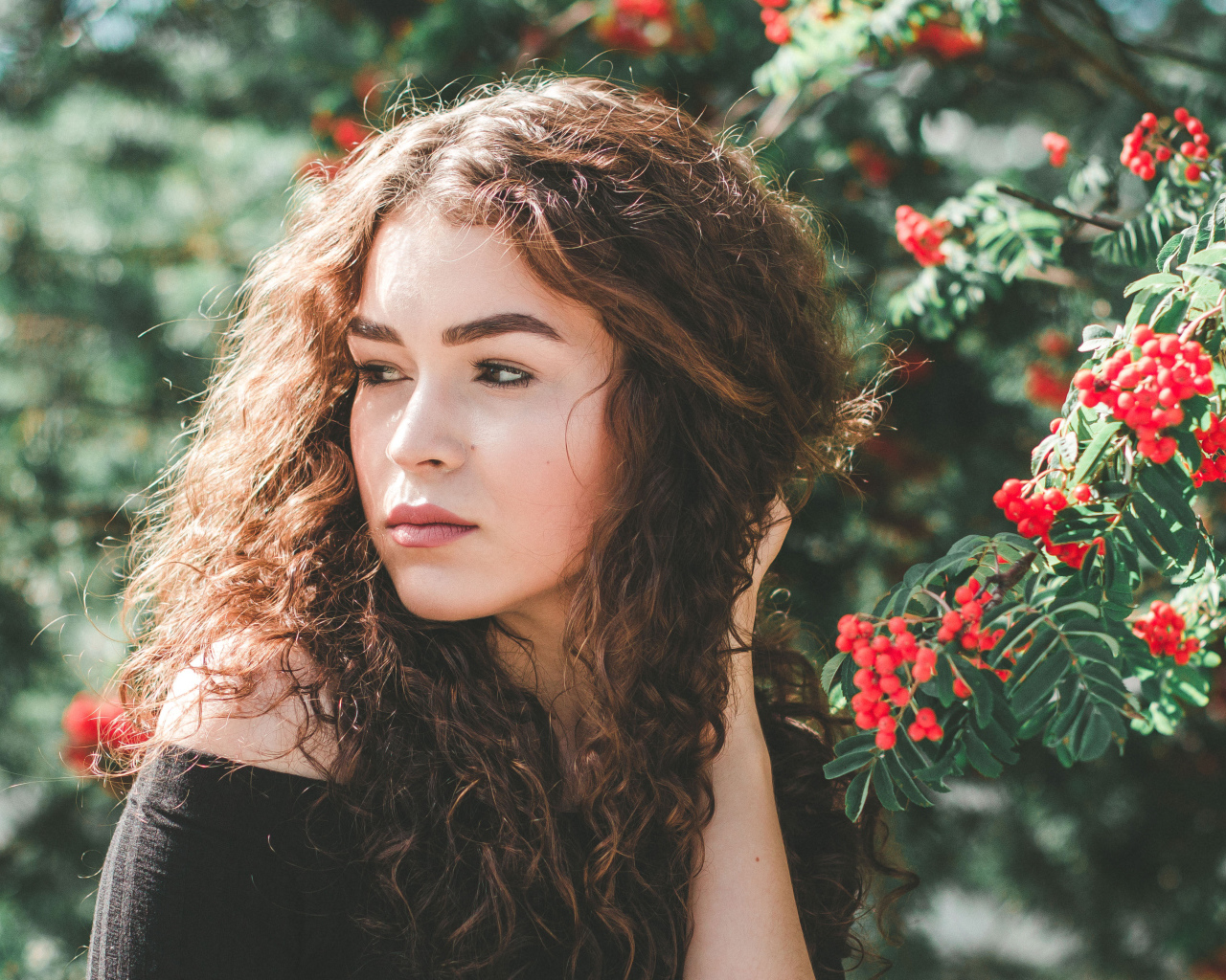 Красивая шатенка у ветки с красными ягодами рябины