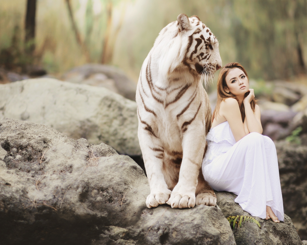 Красивая девушка в белом платье с белым тигром