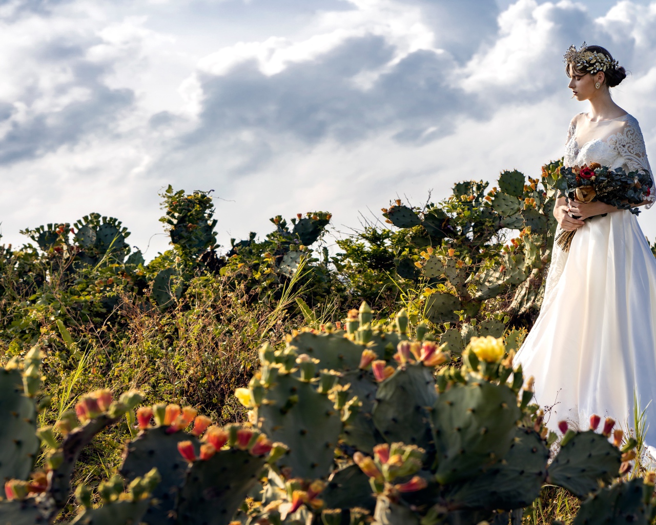 Красивая девушка в белом свадебном платье на поле с кактусами