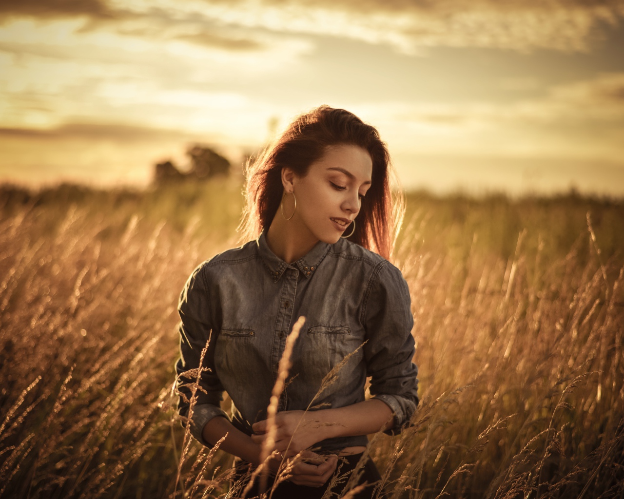 Красивая девушка на поле с колосками на фоне солнца