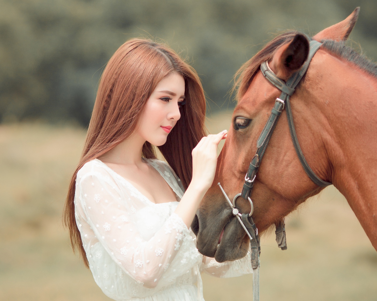 Красивая длинноволосая азиатка гладит лошадь