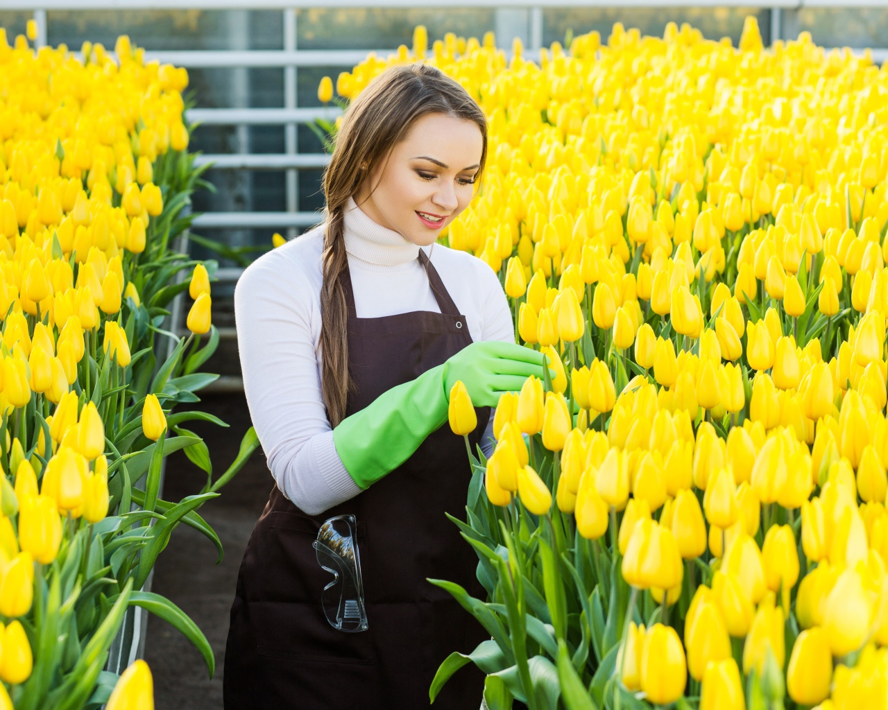 Красивая молодая девушка ухаживает за желтыми тюльпанами