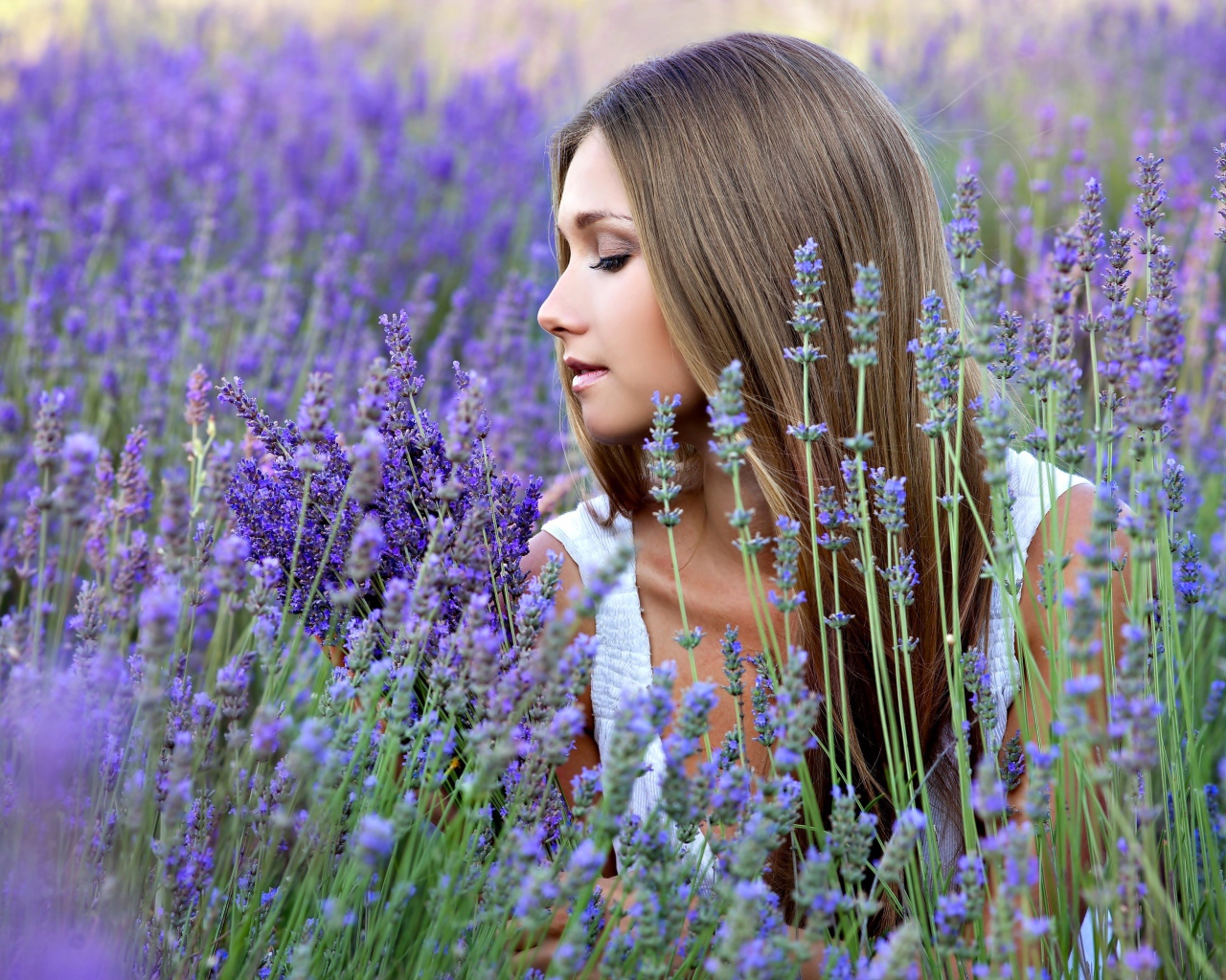 Нежная красивая девушка в цветах лаванды