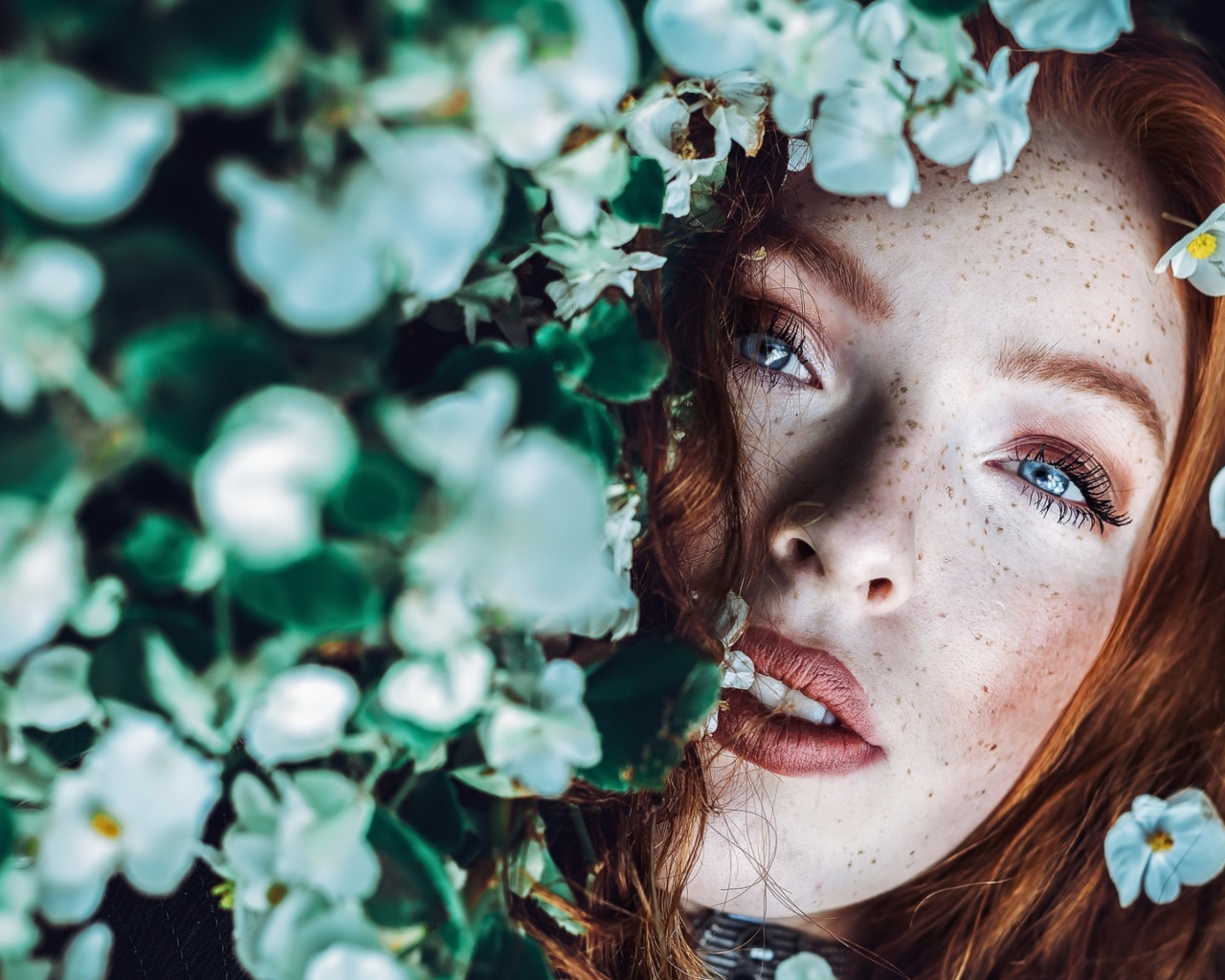Рыжеволосая девушка с веснушками в белых цветах 