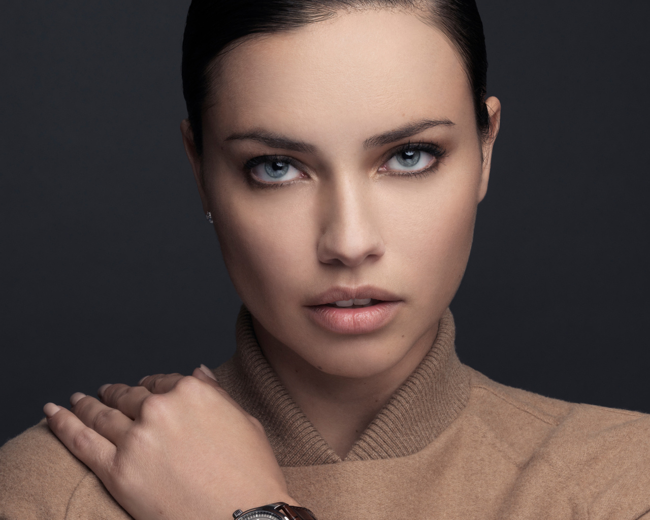 Бразильская супермодель Адриана Лима фото на сером фоне