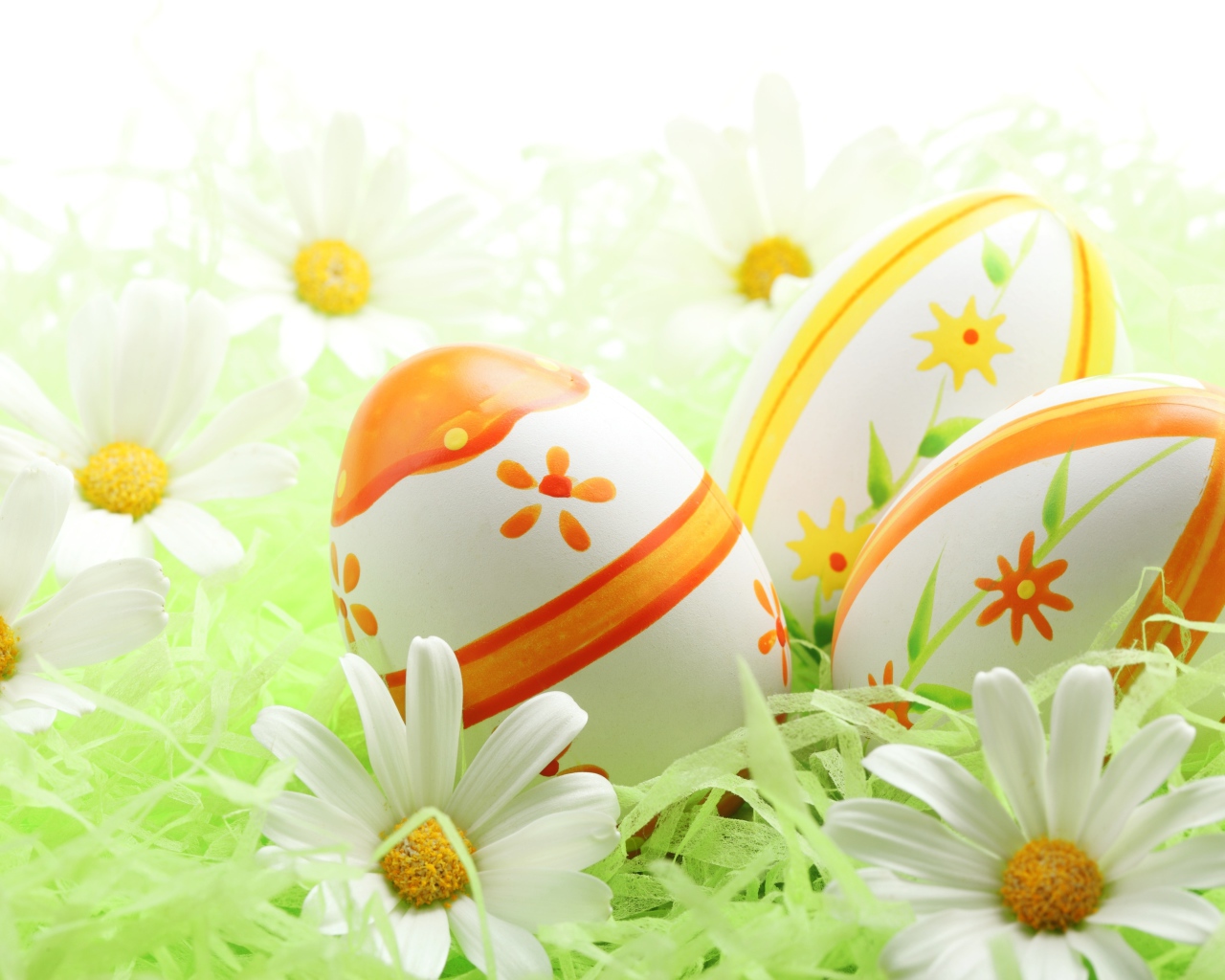 Раскрашенные пасхальные яйца и ромашки на Пасху