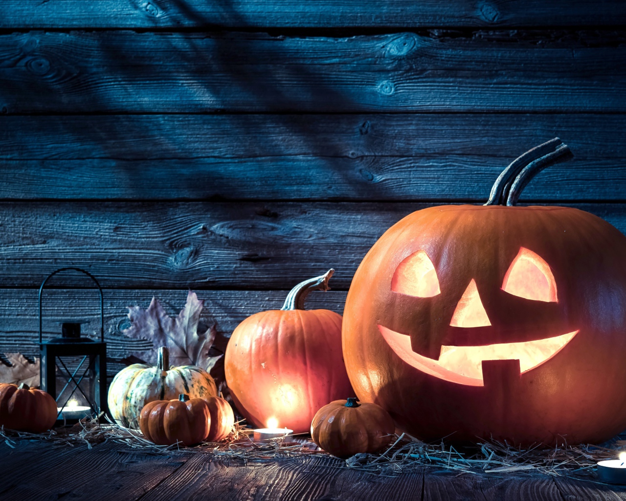 Тыквы на праздник Хэллоуин, 31 октября