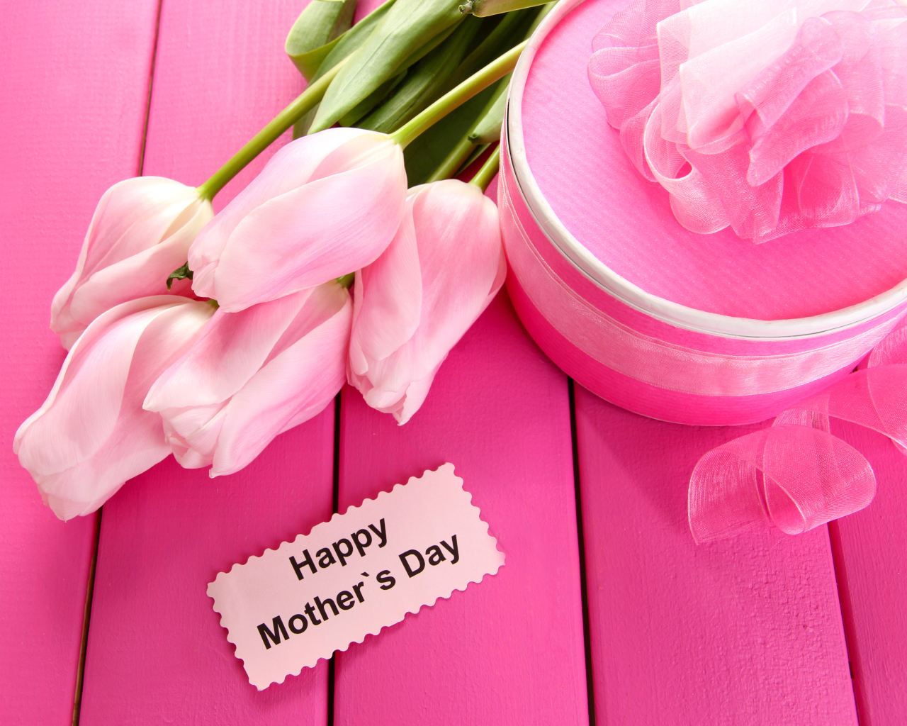 Красивые розовые тюльпаны с подарком и цветами на международный женский день 8 марта