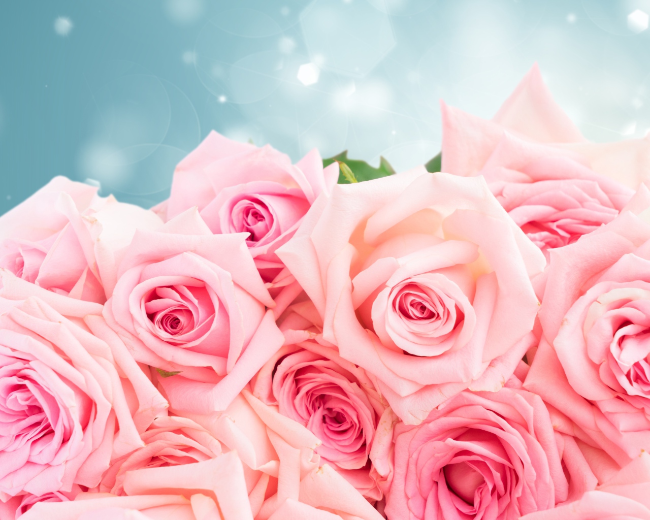 Большой красивый букет розовых роз в подарок на 8 марта