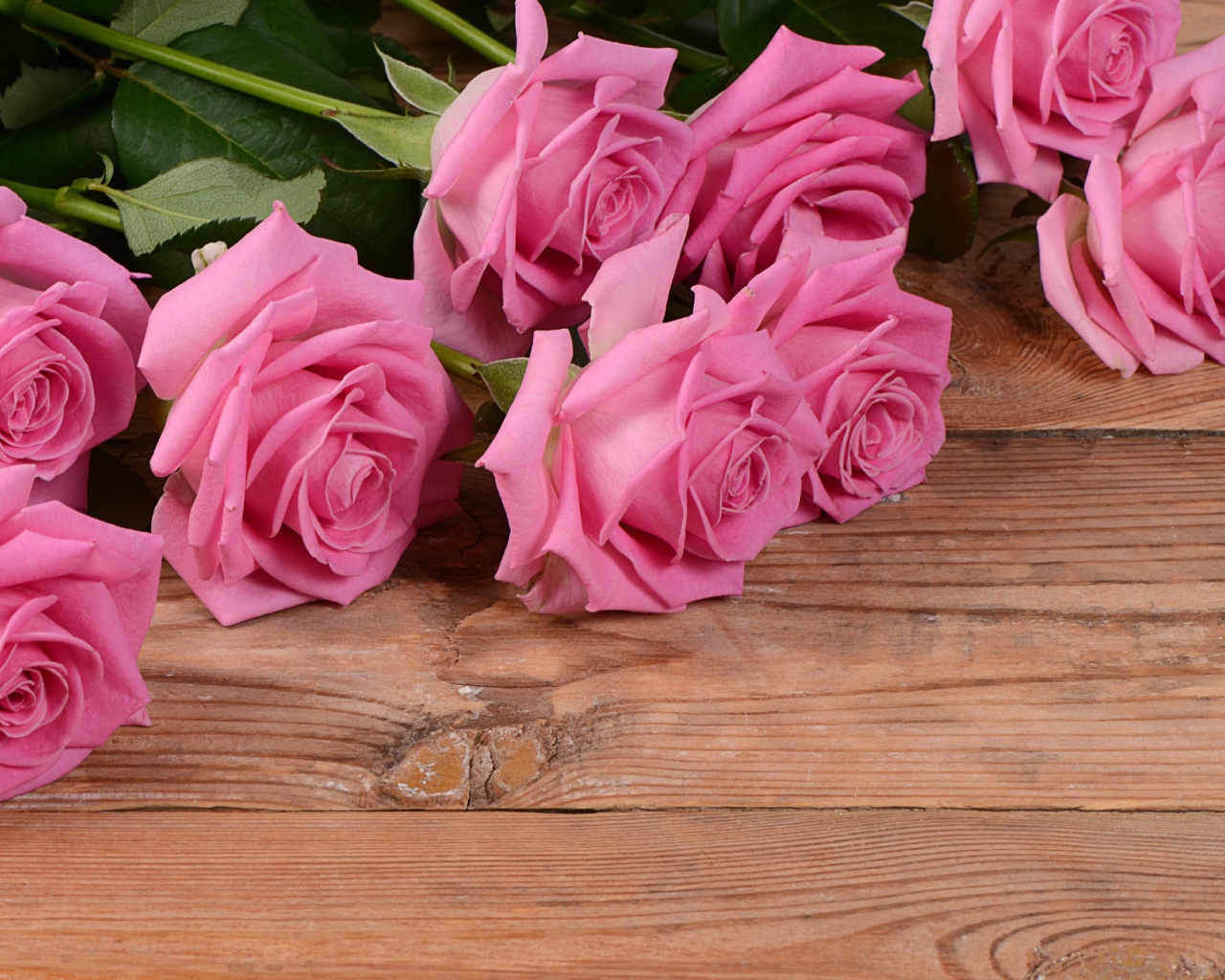 Bouquet of beautiful pink roses on a wooden background, a gift on March 8