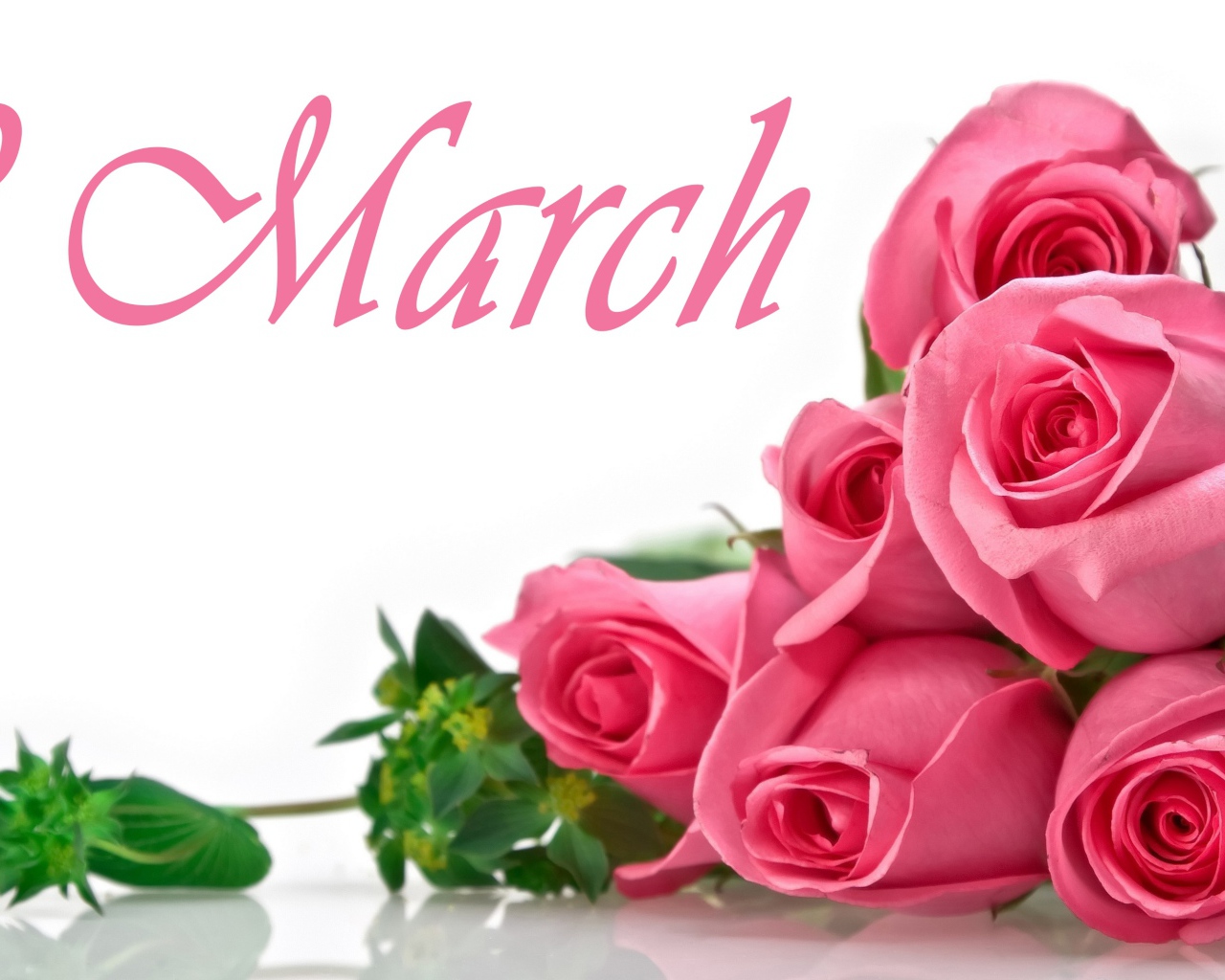 Букет розовых роз на белом фоне на 8 марта