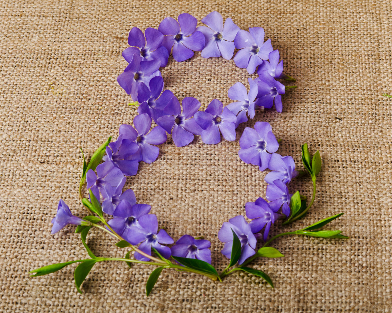 Цифра 8 из сиреневых цветов на Международный женский день 8 марта