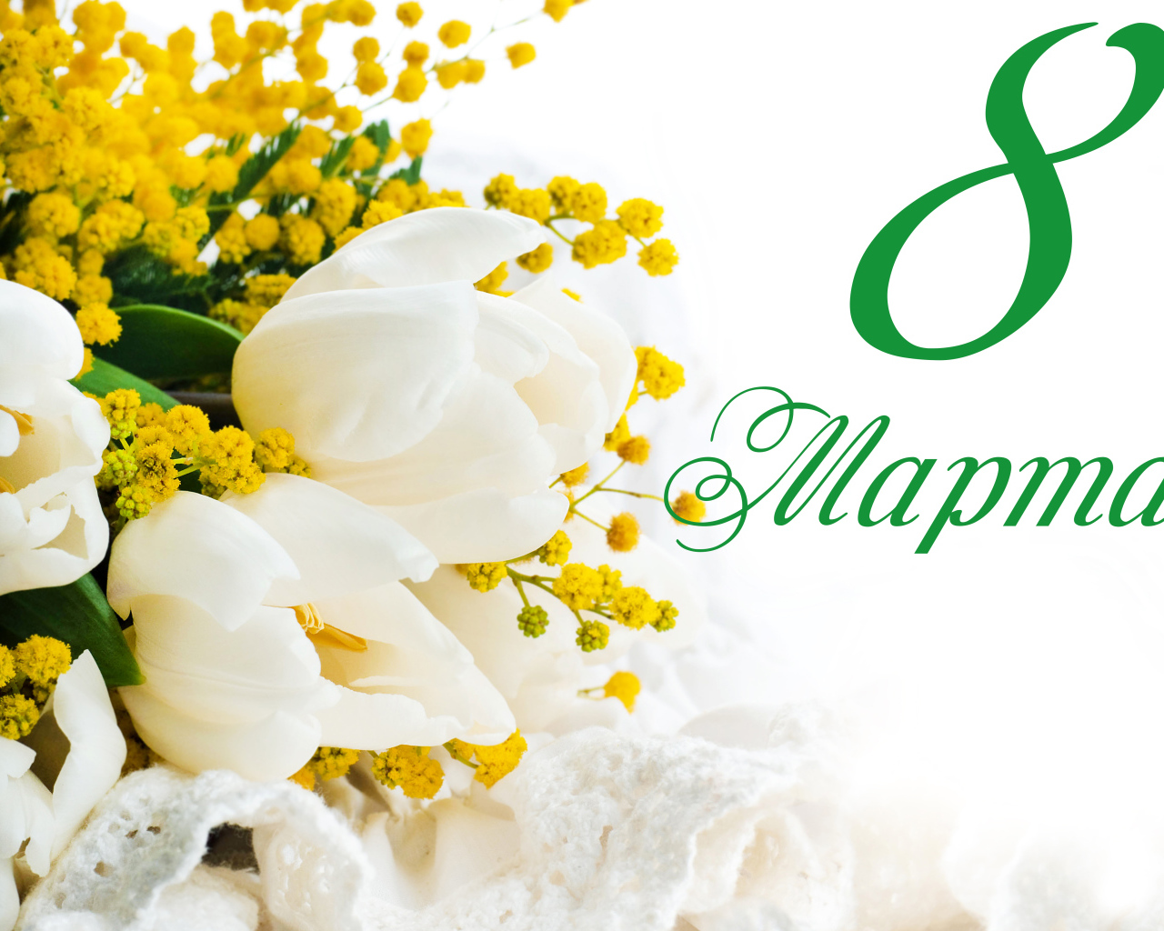 Белые тюльпаны и желтые цветы мимозы на белом фоне на Международный женский день 8 марта