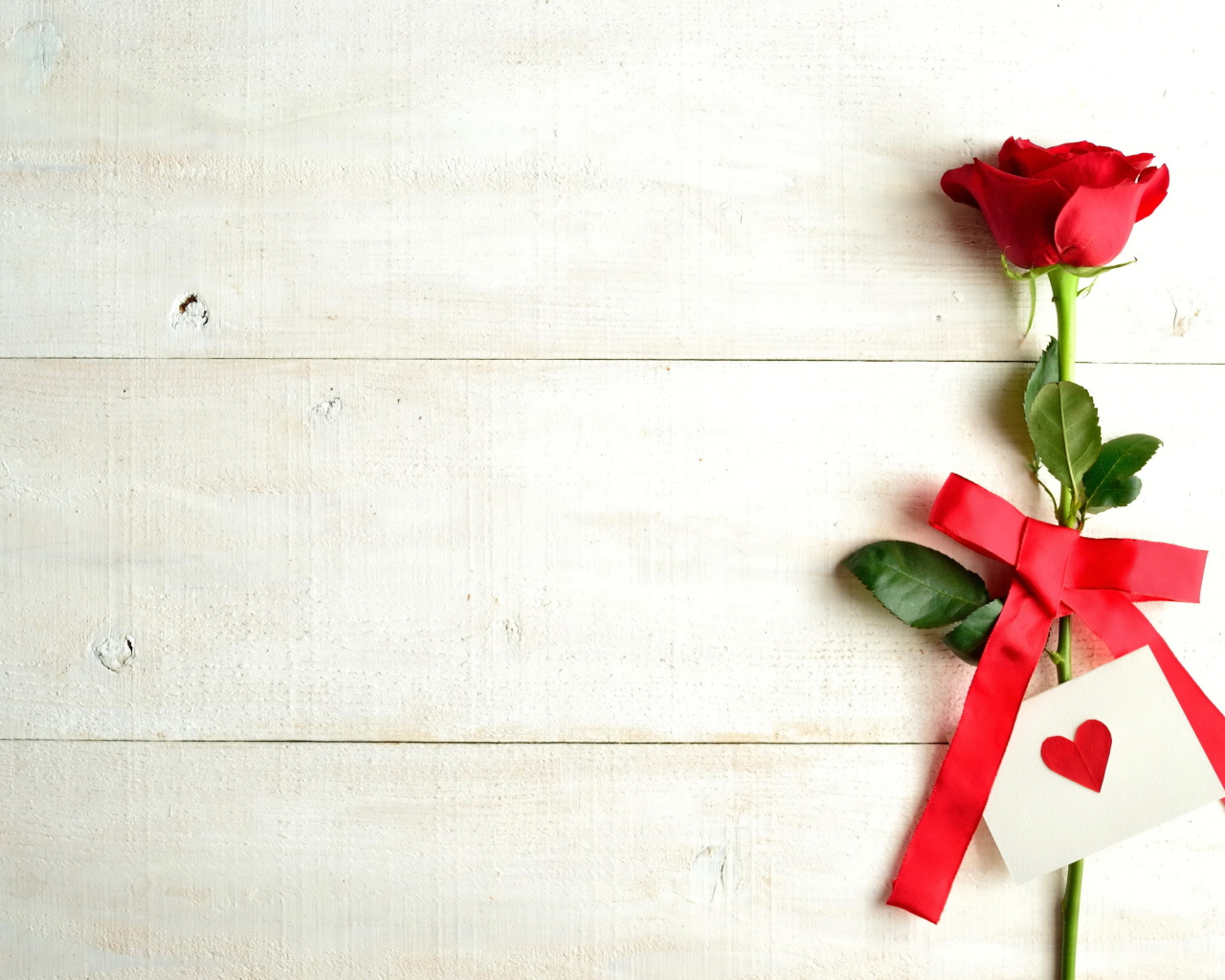 Красная роза и валентинка на белом фоне, шаблон для поздравительной открытки на День Святого Валентина