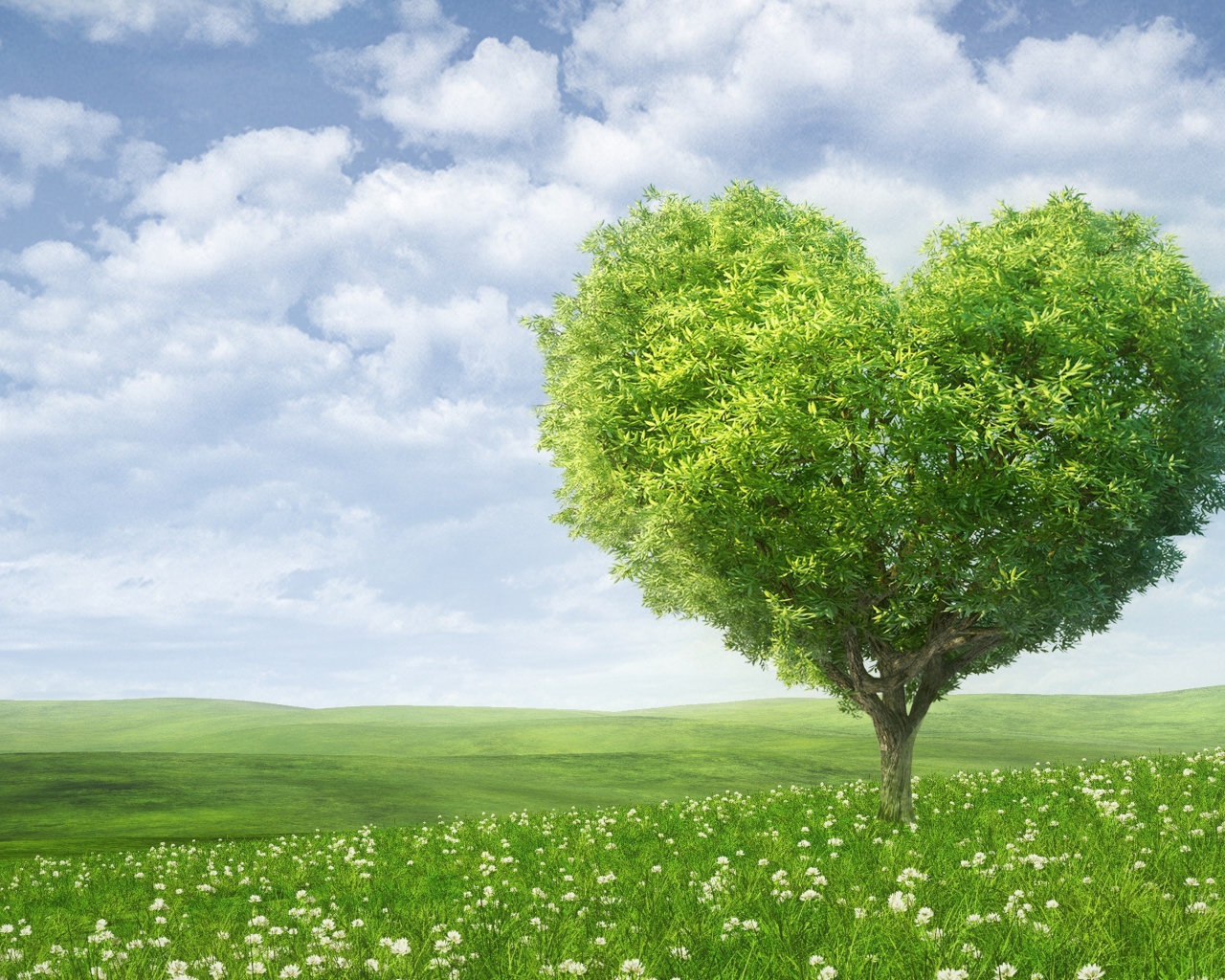 Зеленое дерево в форме сердца на фоне красивого неба