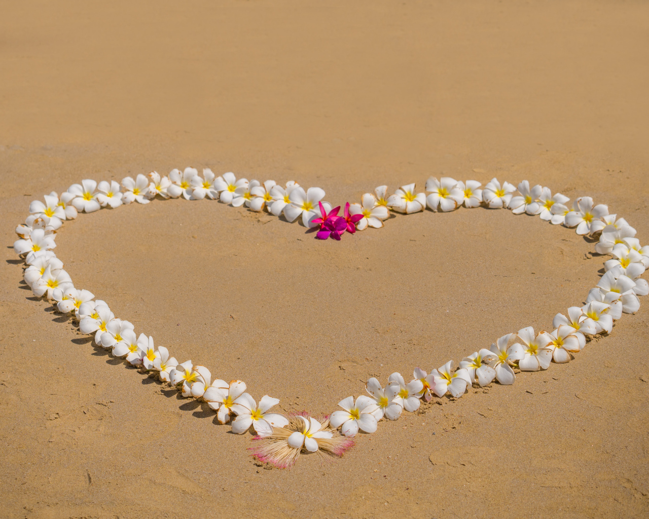Сердце из цветов плюмерии на песке