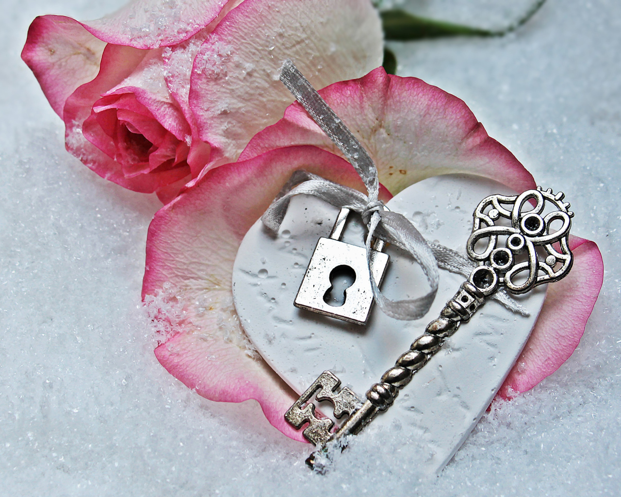 Розовая роза лежит на снегу с ключом