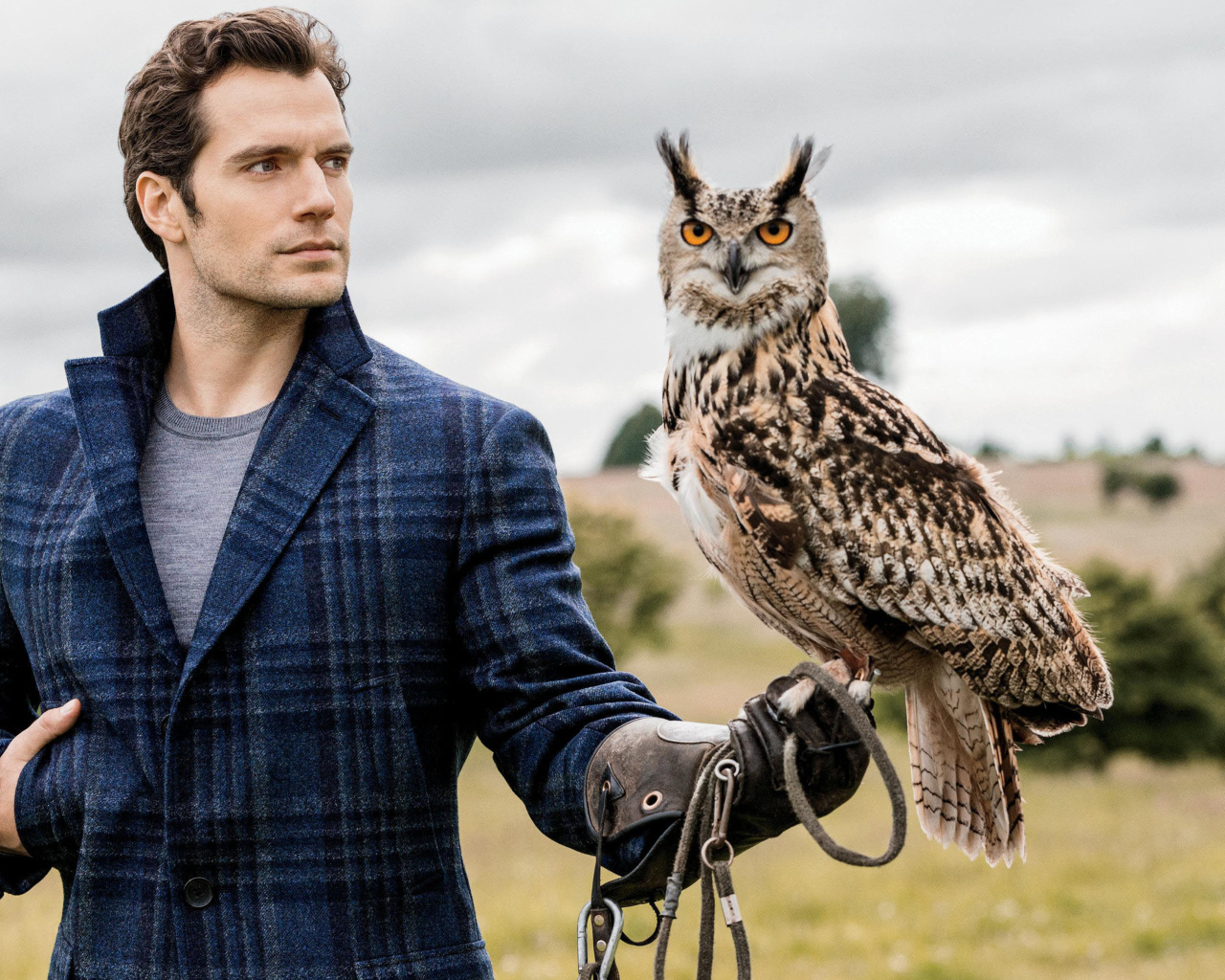 Актер Генри Кавилл с совой на руке